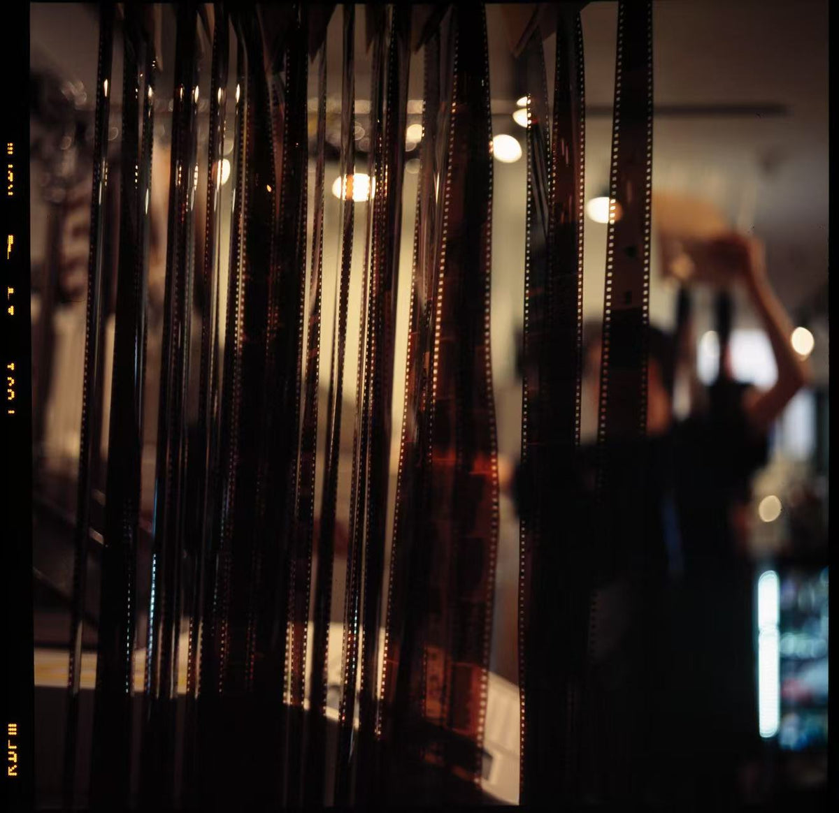 Strips of developed film hanging in the IROHAS Photo lab